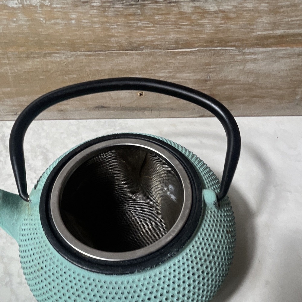 Turquoise Cast Iron Teapot w/ Stainless Infuser, Matte Textured Japanese 4 Cup - Picture 5 of 9